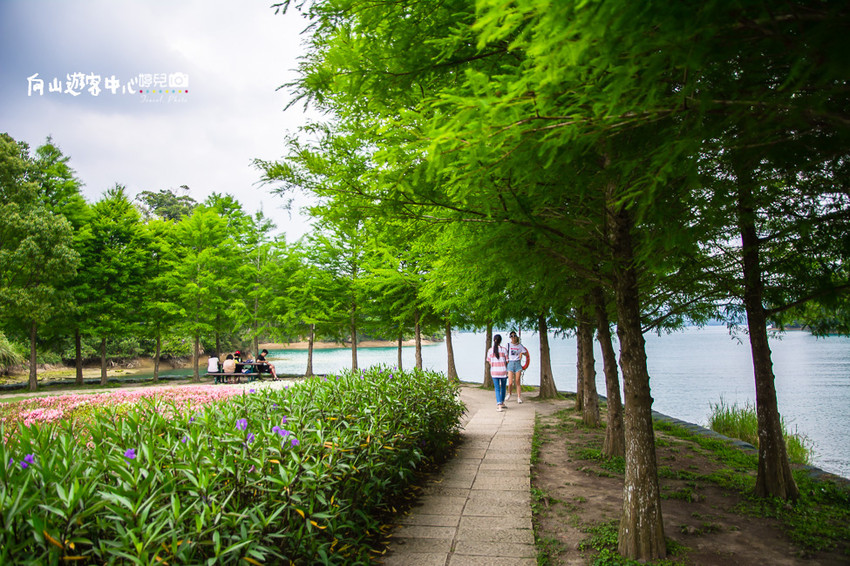 ｜南投景點｜全球十大最美自行車道，向山遊客中心環潭自行車道 - 阿婷的旅行札記。