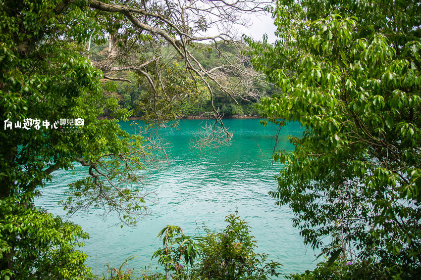 ｜南投景點｜全球十大最美自行車道，向山遊客中心環潭自行車道 - 阿婷的旅行札記。