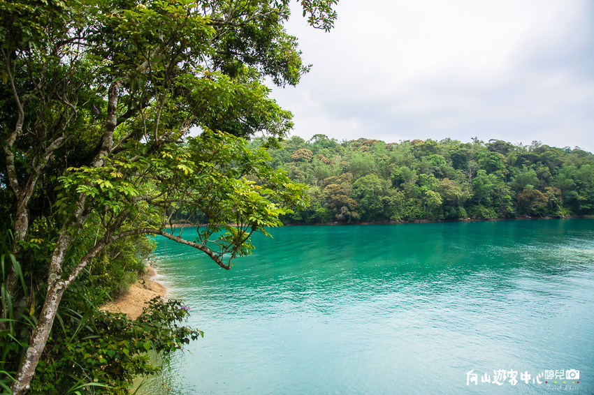 ｜南投景點｜全球十大最美自行車道，向山遊客中心環潭自行車道 - 阿婷的旅行札記。