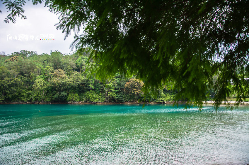 ｜南投景點｜全球十大最美自行車道，向山遊客中心環潭自行車道 - 阿婷的旅行札記。