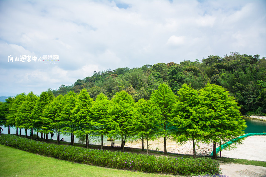 ｜南投景點｜全球十大最美自行車道，向山遊客中心環潭自行車道 - 阿婷的旅行札記。