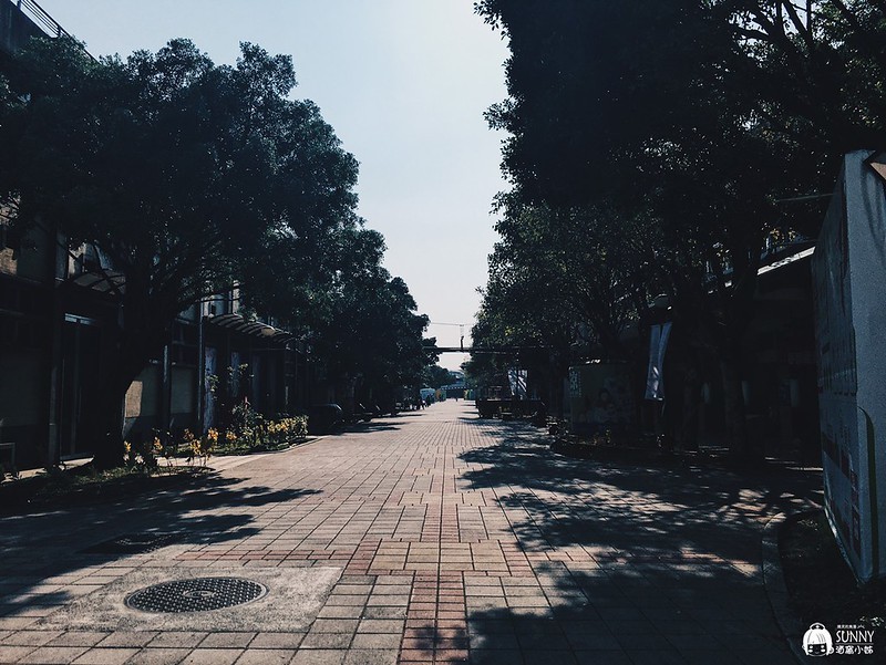 國王蝴蝶_200210_0015