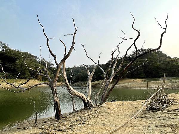 新竹寶山水庫│沙湖壢咖啡館-環湖步道