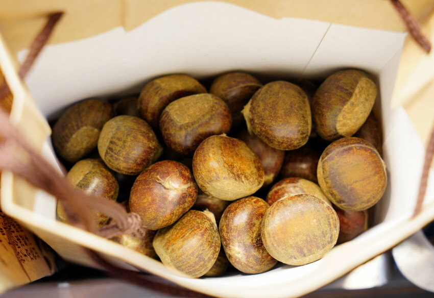 台北寧夏夜市美食．超過30家美味! 地圖、交通、停車場資訊!