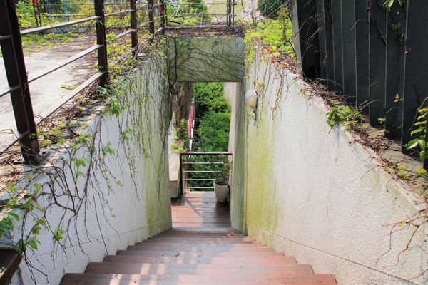 森之王子景觀民宿餐廳：【台中景點】新社森之王子景觀民宿餐廳。免費景點好好拍~有如國外戶外婚禮場景，青青草原及證婚台/景觀餐廳/民宿休息泡湯/戶外婚禮場地租借/多人聚餐會議包場用餐廳/巨型木馬/賞日出日落及夜景