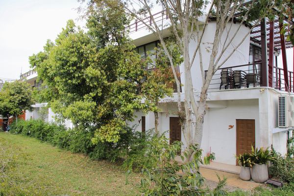 森之王子景觀民宿餐廳：【台中景點】新社森之王子景觀民宿餐廳。免費景點好好拍~有如國外戶外婚禮場景，青青草原及證婚台/景觀餐廳/民宿休息泡湯/戶外婚禮場地租借/多人聚餐會議包場用餐廳/巨型木馬/賞日出日落及夜景