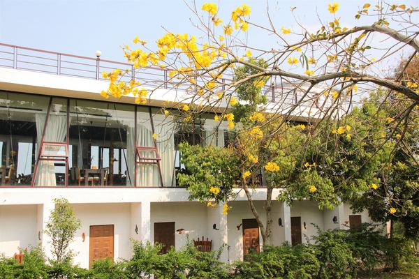 森之王子景觀民宿餐廳：【台中景點】新社森之王子景觀民宿餐廳。免費景點好好拍~有如國外戶外婚禮場景，青青草原及證婚台/景觀餐廳/民宿休息泡湯/戶外婚禮場地租借/多人聚餐會議包場用餐廳/巨型木馬/賞日出日落及夜景