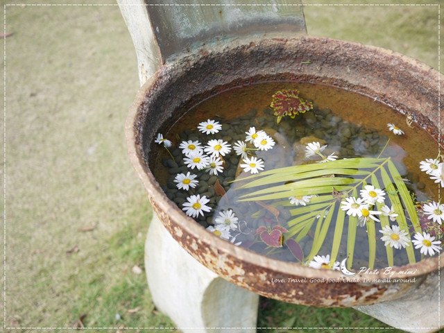 [美食]曬曬陽光來場藝術的饗宴。橋頭糖廠 白屋