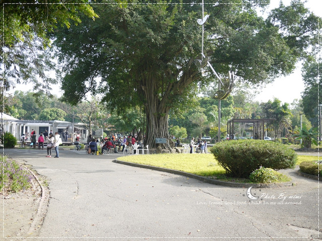 [美食]曬曬陽光來場藝術的饗宴。橋頭糖廠 白屋