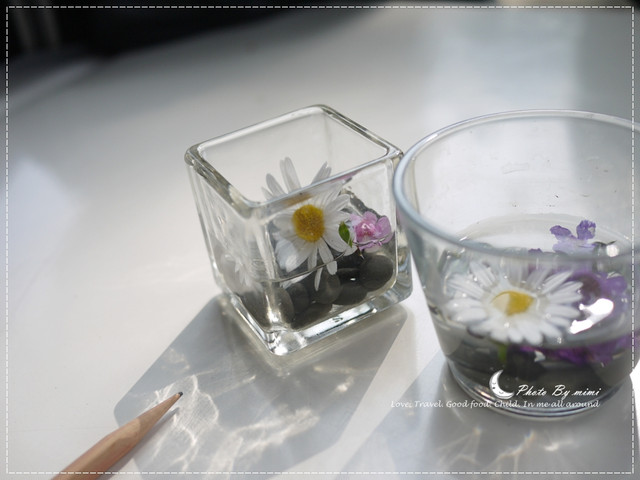 [美食]曬曬陽光來場藝術的饗宴。橋頭糖廠 白屋