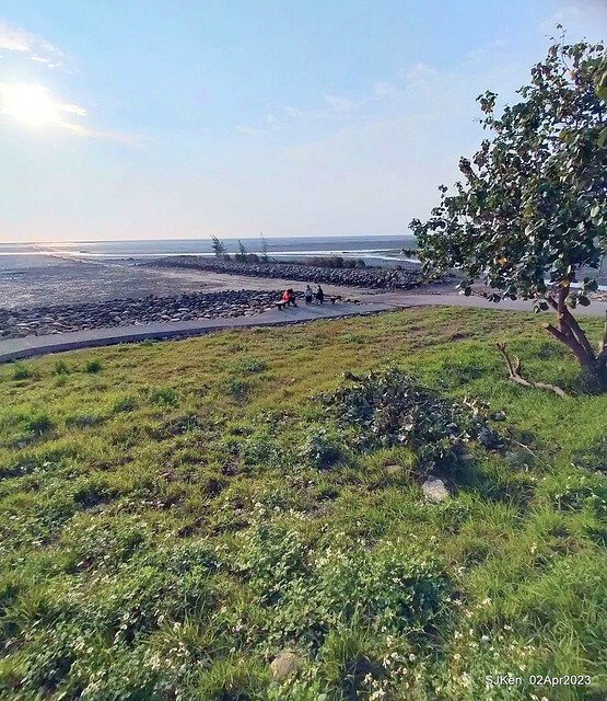 (新竹市香山區旅遊景點)「新竹香山濕地賞蟹步道」 (Siangshan Wetland Scenic Area),Hsinchu city, Apr 2, 2023, SJKen