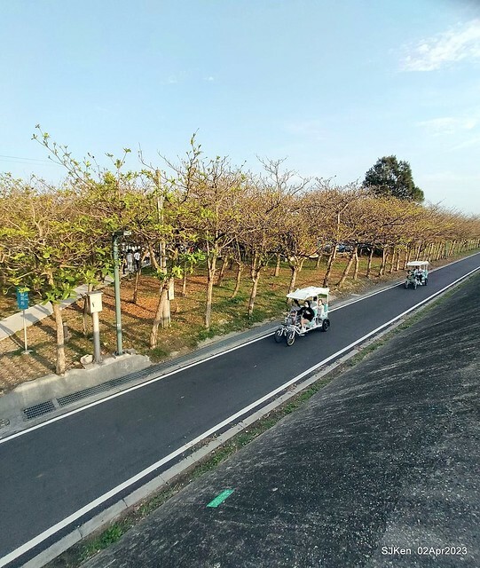 (新竹市香山區旅遊景點)「新竹香山濕地賞蟹步道」 (Siangshan Wetland Scenic Area),Hsinchu city, Apr 2, 2023, SJKen