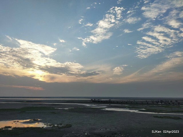 (新竹市香山區旅遊景點)「新竹香山濕地賞蟹步道」 (Siangshan Wetland Scenic Area),Hsinchu city, Apr 2, 2023, SJKen