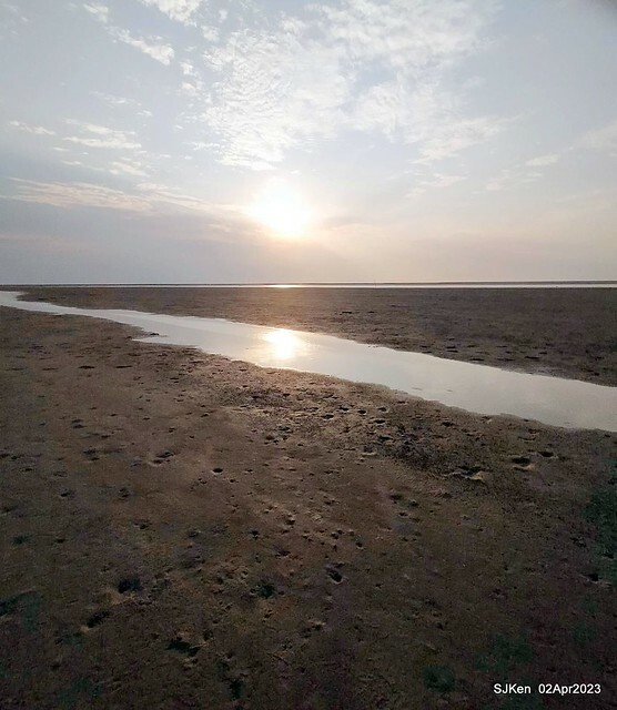 (新竹市香山區旅遊景點)「新竹香山濕地賞蟹步道」 (Siangshan Wetland Scenic Area),Hsinchu city, Apr 2, 2023, SJKen