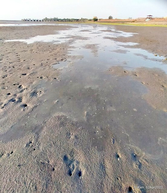 (新竹市香山區旅遊景點)「新竹香山濕地賞蟹步道」 (Siangshan Wetland Scenic Area),Hsinchu city, Apr 2, 2023, SJKen