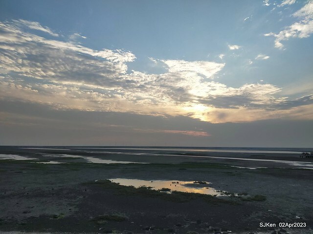 (新竹市香山區旅遊景點)「新竹香山濕地賞蟹步道」 (Siangshan Wetland Scenic Area),Hsinchu city, Apr 2, 2023, SJKen