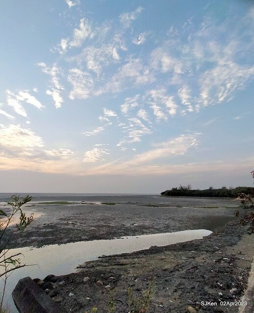(新竹市香山區旅遊景點)「新竹香山濕地賞蟹步道」 (Siangshan Wetland Scenic Area),Hsinchu city, Apr 2, 2023, SJKen
