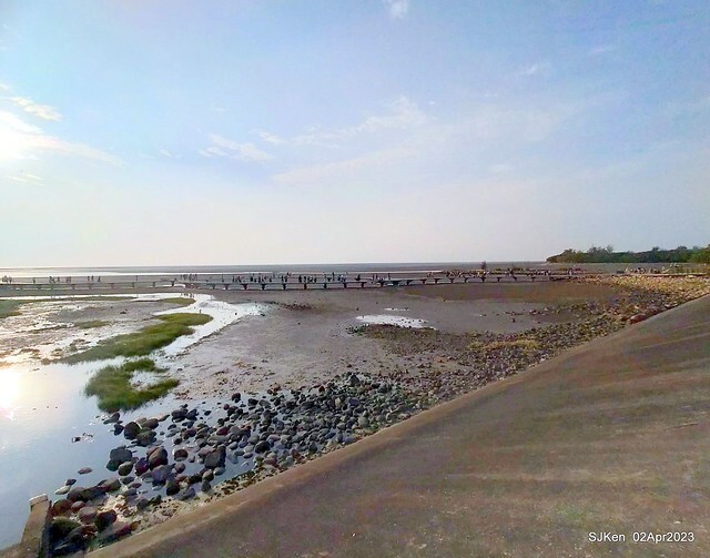 (新竹市香山區旅遊景點)「新竹香山濕地賞蟹步道」 (Siangshan Wetland Scenic Area),Hsinchu city, Apr 2, 2023, SJKen