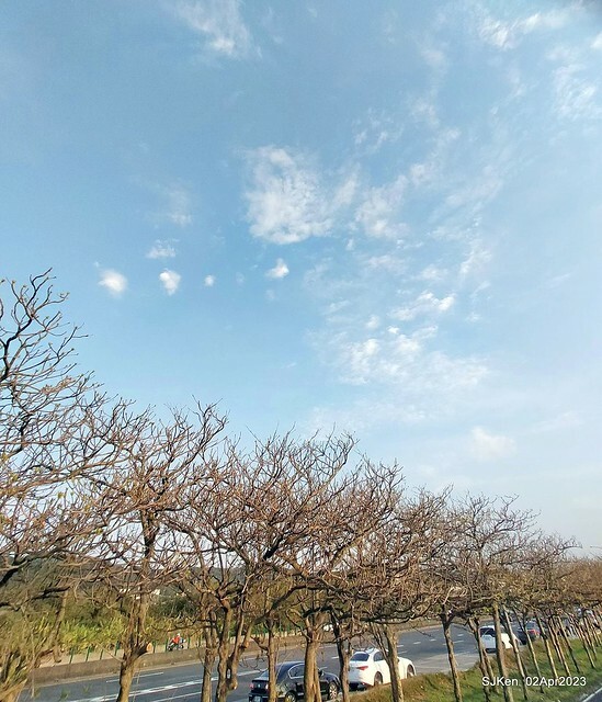 (新竹市香山區旅遊景點)「新竹香山濕地賞蟹步道」 (Siangshan Wetland Scenic Area),Hsinchu city, Apr 2, 2023, SJKen