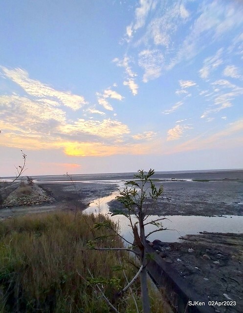 (新竹市香山區旅遊景點)「新竹香山濕地賞蟹步道」 (Siangshan Wetland Scenic Area),Hsinchu city, Apr 2, 2023, SJKen