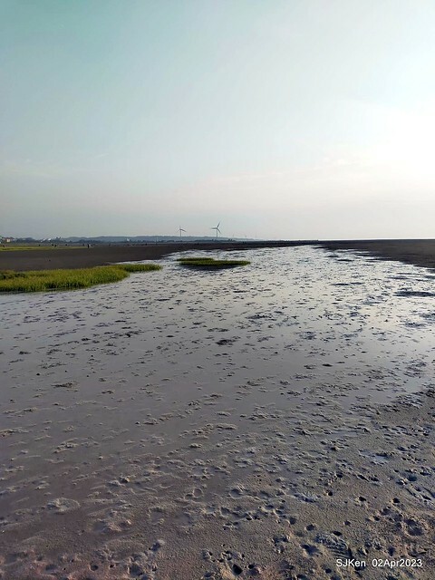 (新竹市香山區旅遊景點)「新竹香山濕地賞蟹步道」 (Siangshan Wetland Scenic Area),Hsinchu city, Apr 2, 2023, SJKen