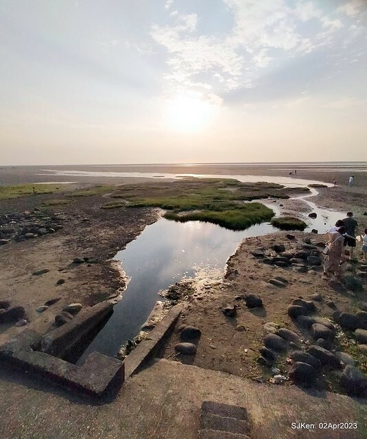 (新竹市香山區旅遊景點)「新竹香山濕地賞蟹步道」 (Siangshan Wetland Scenic Area),Hsinchu city, Apr 2, 2023, SJKen