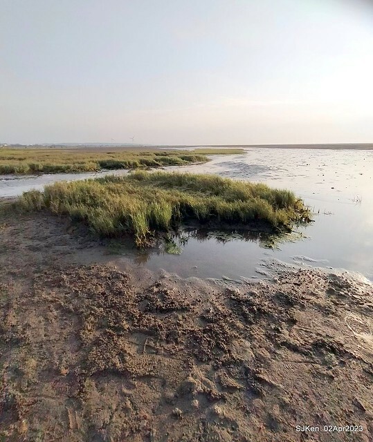 (新竹市香山區旅遊景點)「新竹香山濕地賞蟹步道」 (Siangshan Wetland Scenic Area),Hsinchu city, Apr 2, 2023, SJKen