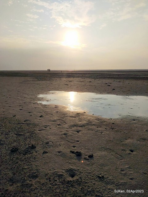 (新竹市香山區旅遊景點)「新竹香山濕地賞蟹步道」 (Siangshan Wetland Scenic Area),Hsinchu city, Apr 2, 2023, SJKen