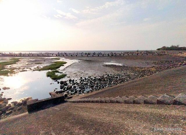 (新竹市香山區旅遊景點)「新竹香山濕地賞蟹步道」 (Siangshan Wetland Scenic Area),Hsinchu city, Apr 2, 2023, SJKen
