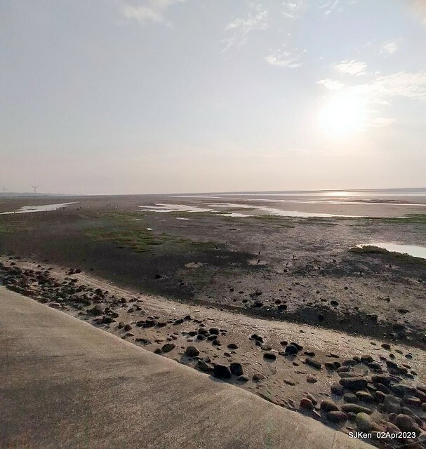 (新竹市香山區旅遊景點)「新竹香山濕地賞蟹步道」 (Siangshan Wetland Scenic Area),Hsinchu city, Apr 2, 2023, SJKen