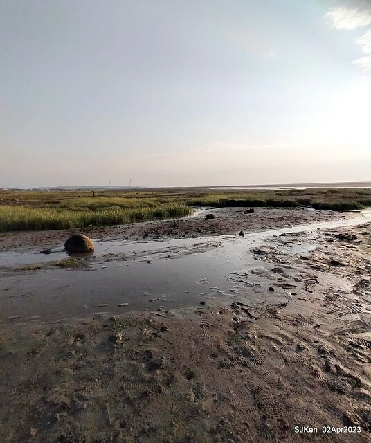 (新竹市香山區旅遊景點)「新竹香山濕地賞蟹步道」 (Siangshan Wetland Scenic Area),Hsinchu city, Apr 2, 2023, SJKen