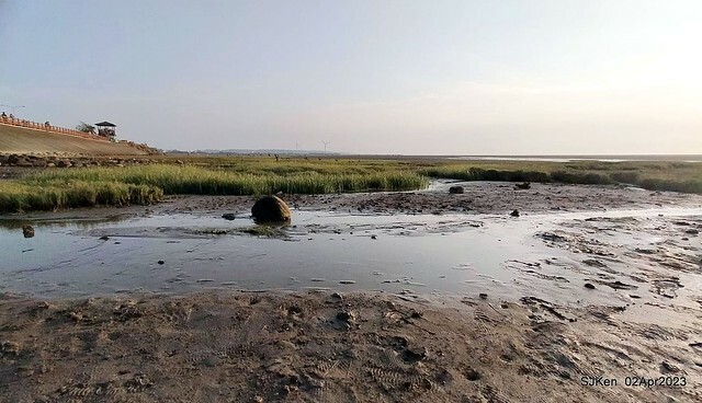 (新竹市香山區旅遊景點)「新竹香山濕地賞蟹步道」 (Siangshan Wetland Scenic Area),Hsinchu city, Apr 2, 2023, SJKen