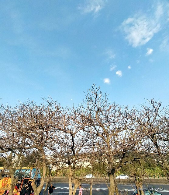 (新竹市香山區旅遊景點)「新竹香山濕地賞蟹步道」 (Siangshan Wetland Scenic Area),Hsinchu city, Apr 2, 2023, SJKen