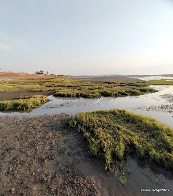 (新竹市香山區旅遊景點)「新竹香山濕地賞蟹步道」 (Siangshan Wetland Scenic Area),Hsinchu city, Apr 2, 2023, SJKen