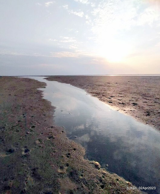 (新竹市香山區旅遊景點)「新竹香山濕地賞蟹步道」 (Siangshan Wetland Scenic Area),Hsinchu city, Apr 2, 2023, SJKen