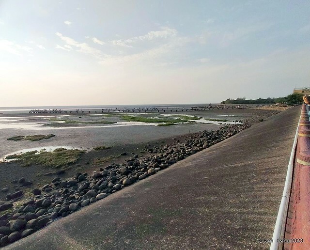(新竹市香山區旅遊景點)「新竹香山濕地賞蟹步道」 (Siangshan Wetland Scenic Area),Hsinchu city, Apr 2, 2023, SJKen