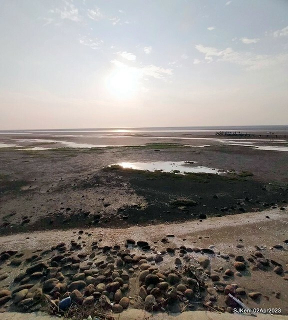 (新竹市香山區旅遊景點)「新竹香山濕地賞蟹步道」 (Siangshan Wetland Scenic Area),Hsinchu city, Apr 2, 2023, SJKen