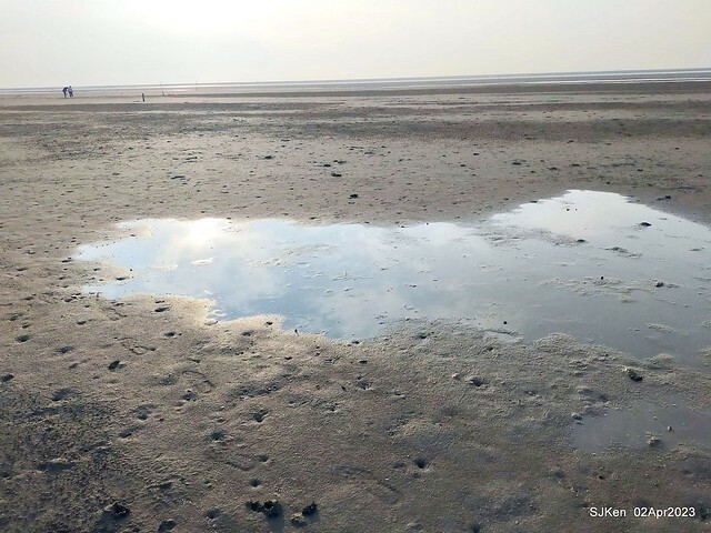 (新竹市香山區旅遊景點)「新竹香山濕地賞蟹步道」 (Siangshan Wetland Scenic Area),Hsinchu city, Apr 2, 2023, SJKen