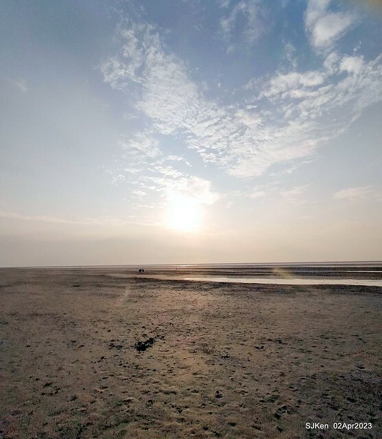 (新竹市香山區旅遊景點)「新竹香山濕地賞蟹步道」 (Siangshan Wetland Scenic Area),Hsinchu city, Apr 2, 2023, SJKen