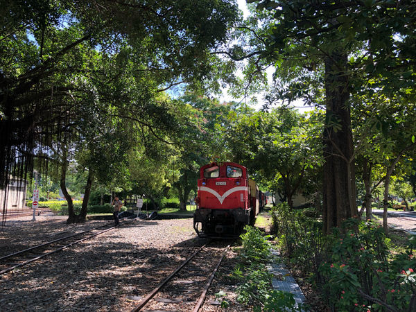 圓圓家出去玩-<嘉義景點>百年車站北門驛，昔日的阿里山小火車景點，懷舊復古風情，順遊沉睡的森林及檜意森活村