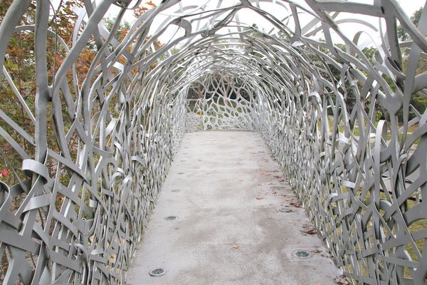 月影潭心:【嘉義景點】蘭潭風景區月影潭心-被荊棘包覆的奇妙感,銀白色的交織錯綜複雜設計,感覺好迷幻,夜間娛樂的約會精選地,充滿燦爛的幸福感