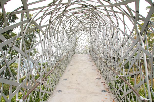 月影潭心:【嘉義景點】蘭潭風景區月影潭心-被荊棘包覆的奇妙感,銀白色的交織錯綜複雜設計,感覺好迷幻,夜間娛樂的約會精選地,充滿燦爛的幸福感