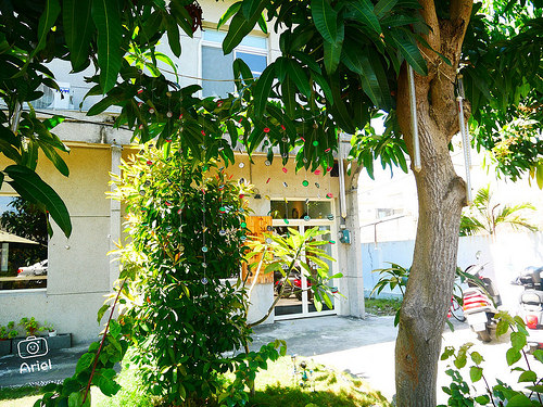 【屏東景點】枋寮F3藝文特區，用慢活的腳步走訪枋寮車站旁的鐵道藝術村