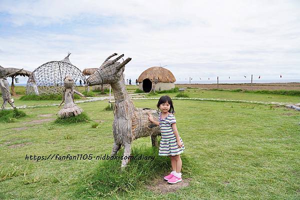 【花蓮景點】新社梯田 海景盪鞦韆 #花蓮豐濱 #免門票 #IG打卡熱門景點 (6).JPG