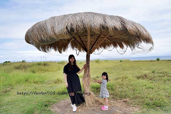 【花蓮景點】新社梯田 海景盪鞦韆 #花蓮豐濱 #免門票 #IG打卡熱門景點 (10).jpg