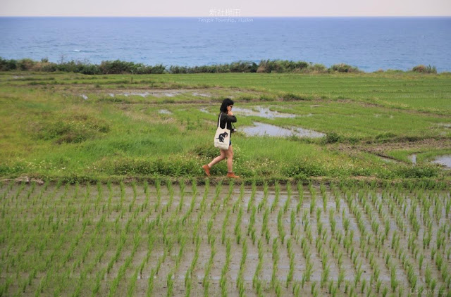 新社梯田-5