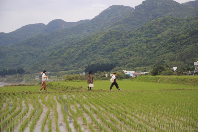 新社梯田-4