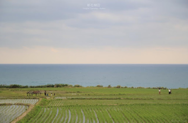 新社梯田-12