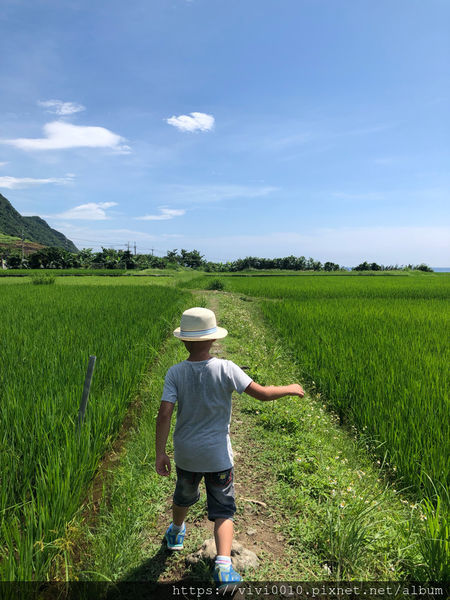 圓圓家出去玩-《花蓮景點》新社無邊際梯田，寬闊視野，藍天下的綠色稻浪，最佳打卡景點