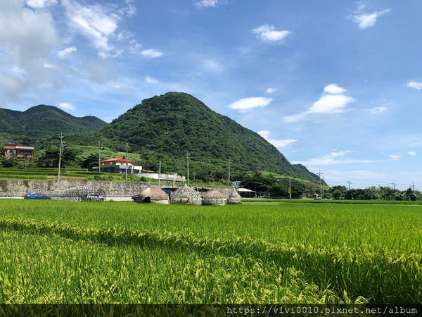 圓圓家出去玩-《花蓮景點》新社無邊際梯田，寬闊視野，藍天下的綠色稻浪，最佳打卡景點